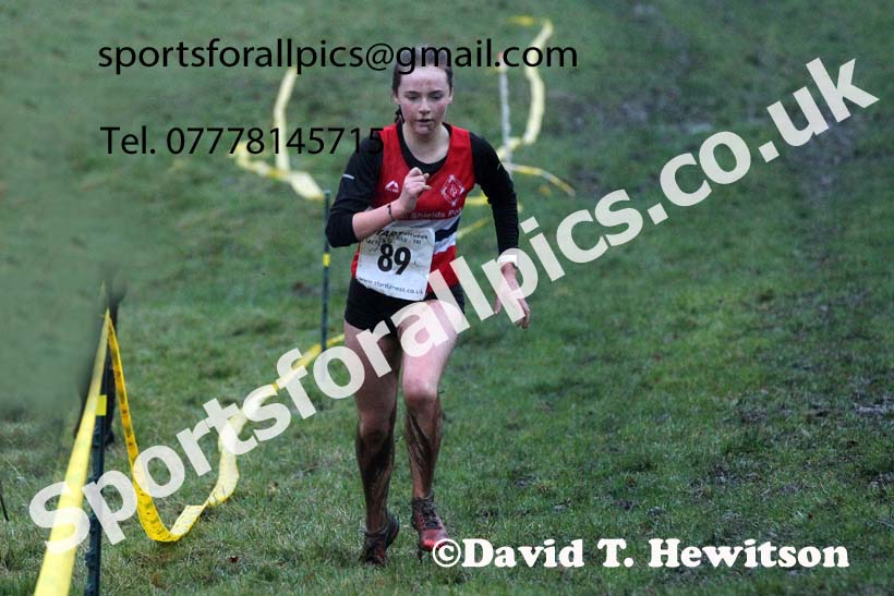 Womens under-17s and under-20s, NECAA Junior Cross Country Relays, Thornley Farm, Peterlee, Saturday, December 12th. Photo: David T. Hewitson/Sports for All Pics